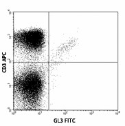 FITC anti-mouse TCR γ/δ Antibody (118105)