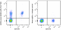 APC/Fire™ 810 anti-human CD196 (CCR6) Antibody (353450)