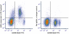 PE/Cyanine7 anti-mouse CD93 (AA4.1, early B lineage) Antibody (136505)