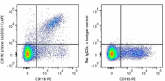 APC anti-mouse CD192 (CCR2) Antibody (150627)
