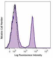 APC anti-rat CD3 Antibody (201413)