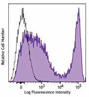 PE/Dazzle™ 594 anti-mouse CD90.2 (Thy1.2) Antibody (140328)