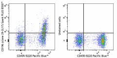 Spark PLUS B550™ anti-mouse CD196 (CCR6) Antibody (129841)