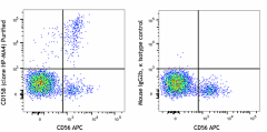 Purified anti-human CD158 (KIR2DL1/S1/S3/S5) Antibody (339502)