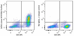Purified anti-GATA3 Antibody (386902)