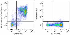 PerCP/Fire™ 780 anti-mouse/human CD11b Antibody (101295)