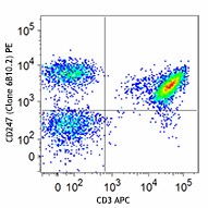 PE anti-CD247 (TCRζ, CD3ζ) Antibody (644105)