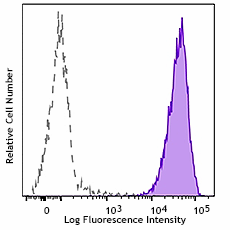APC anti-human MRGX2 Antibody (359005)