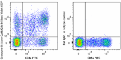 Brilliant Violet 650™ anti-human/mouse Granzyme B Recombinant Antibody (396435)