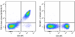 PE anti-mouse TCR β chain Recombinant Antibody (159703)