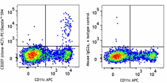 PE/Dazzle™ 594 anti-mouse/human CD207 (Langerin) Antibody (144211)