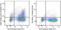FITC anti-mouse CD64 (FcγRI) Antibody (164405)