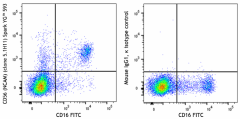 Spark YG™ 593 anti-human CD56 (NCAM) Antibody (362569)
