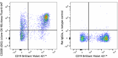 Alexa Fluor® 647 anti-mouse CD200 (OX2) Antibody (123815)