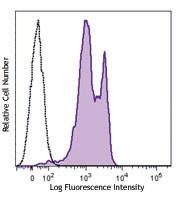 Purified anti-rat CD38 Antibody (250502)