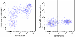 FITC anti-rat CD9 Antibody (206505)