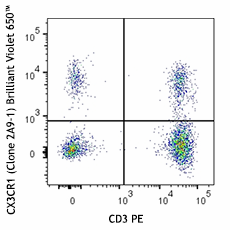 Brilliant Violet 650™ anti-human CX3CR1 Antibody (341625)