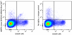KIRAVIA Blue 520™ anti-mouse MERTK (Mer) Antibody (151527)