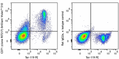 Brilliant Violet 510™ anti-mouse CD71 Antibody (113823)