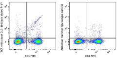 Brilliant Violet 711™ anti-mouse TCR γ/δ Antibody (118149)