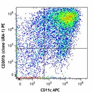 PE anti-mouse CD301b (MGL2) Antibody (146803)
