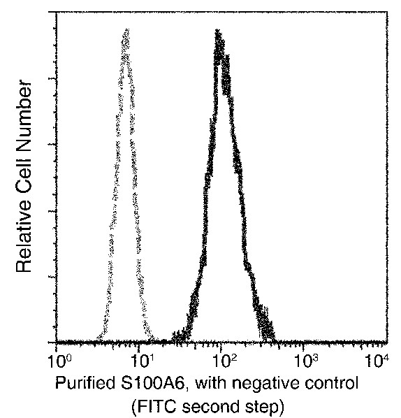 S100A6 Monoclonal Antibody (AN200066P)