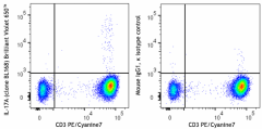Brilliant Violet 650™ anti-human IL-17A Antibody (512345)