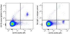 Purified anti-mouse CD170 (Siglec-F) Recombinant Antibody (164102)