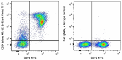 Brilliant Violet 711™ anti-mouse CD24 Antibody (101851)