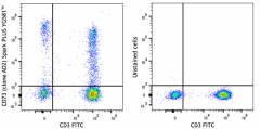 Spark PLUS YG581™ anti-human CD73 (Ecto-5'-nucleotidase) Antibody (344053)