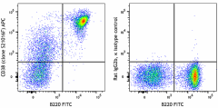 APC anti-mouse CD38 Antibody (165603)