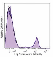 PE/Cyanine7 anti-human CD56 (NCAM) Antibody (362509)