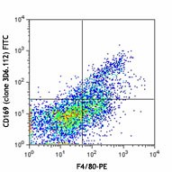 FITC anti-mouse CD169 (Siglec-1) Antibody (142405)