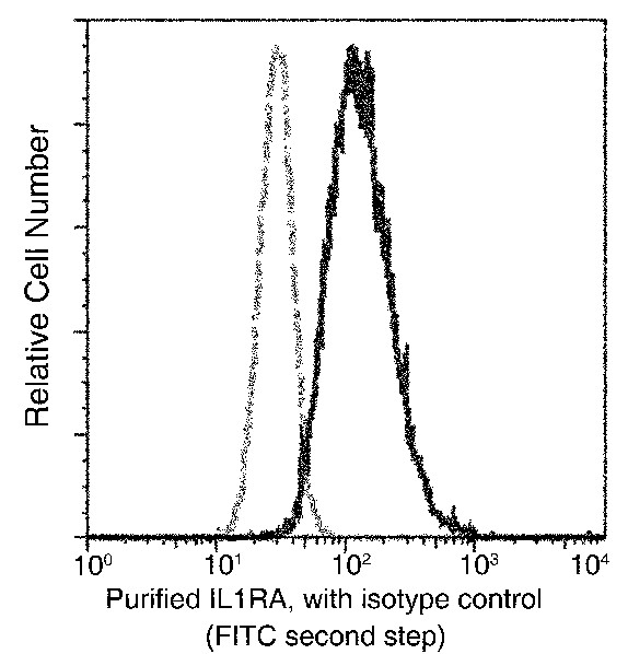 IL-1RA/IL1RN Monoclonal Antibody (AN200036P)