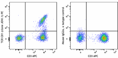 PE anti-human TCR Cβ1 Antibody (383505)