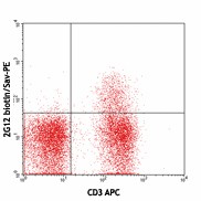 Biotin anti-mouse CD194 (CCR4) Antibody (131215)