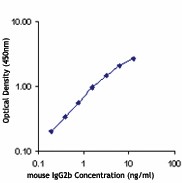 Purified anti-mouse IgG2b Antibody (406701)