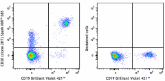 Spark NIR™ 685 anti-human CD20 Antibody (302366)
