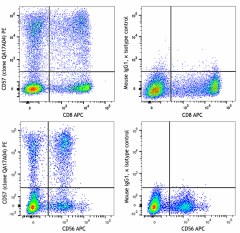 PE anti-human CD57 Recombinant Antibody (393307)