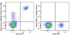 PerCP/Fire™ 806 anti-human CD20 Antibody (375537)