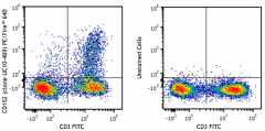 PE/Fire™ 640 anti-mouse CD152 Antibody (106333)