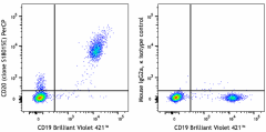 PerCP anti-human CD20 Antibody (375525)
