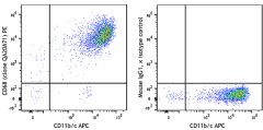 PE anti-rat CD68 Recombinant Antibody (201003)