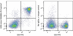 PE/Cyanine7 anti-mouse CD90 (Thy1) Antibody (166409)