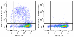 PE anti-mouse CCL22 Antibody (167403)
