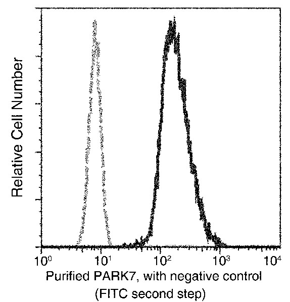 Recombinant PARK7/DJ-1 Monoclonal Antibody (AN300257P)