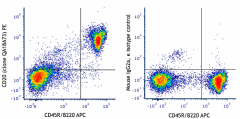 PE anti-mouse CD20 Recombinant Antibody (161405)