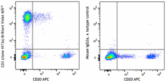 Brilliant Violet 605™ anti-human CD3 Antibody (300343)