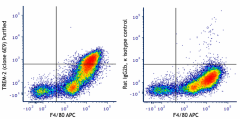 Purified anti-TREM-2 Antibody (824803)