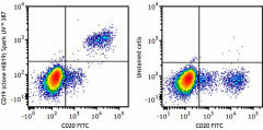 Spark UV™ 387 anti-human CD19 Antibody (302289)